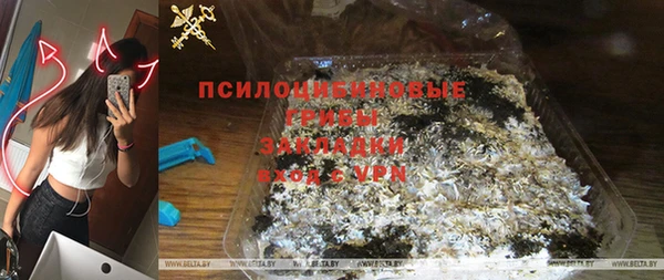 стафф Надым