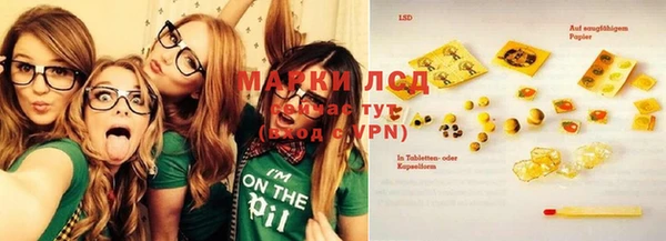 стафф Надым