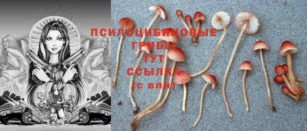 стафф Надым